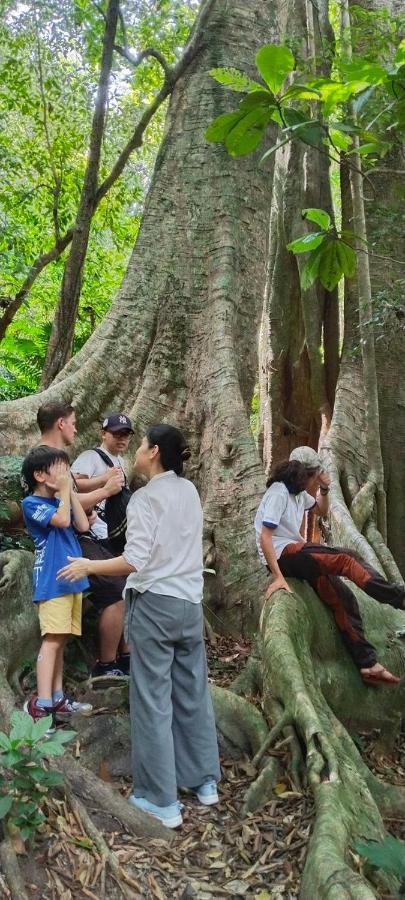 Aroma Cat Ba Sea View Hotel Chan Chau エクステリア 写真