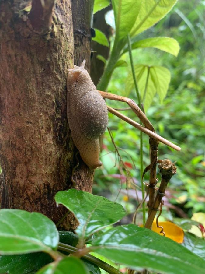 Aroma Cat Ba Sea View Hotel Chan Chau エクステリア 写真