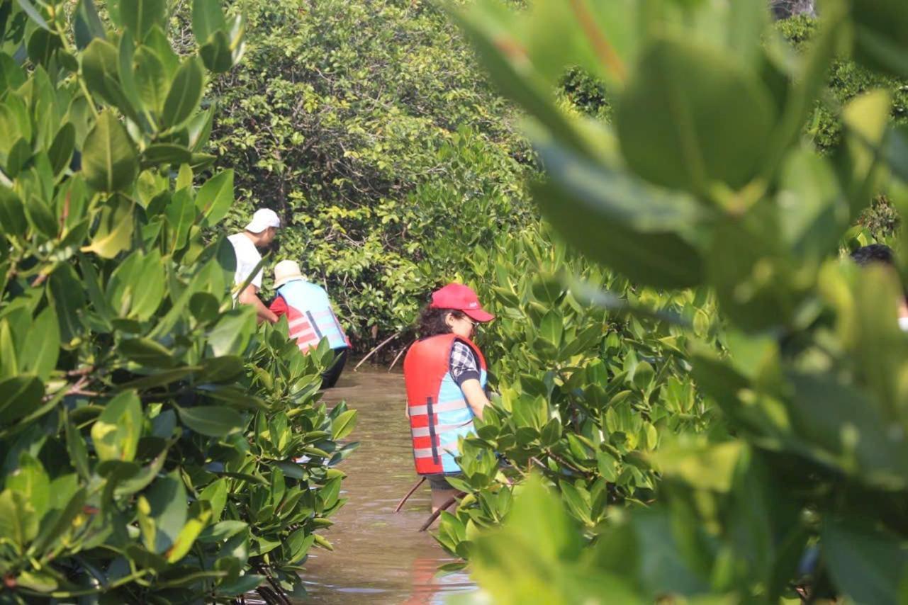Aroma Cat Ba Sea View Hotel Chan Chau エクステリア 写真